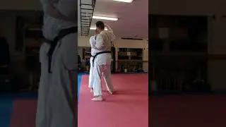 Unsu kata opening sequence application