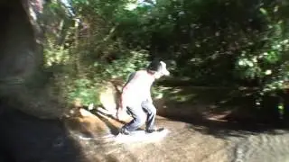 John Cattle's X-STREAM