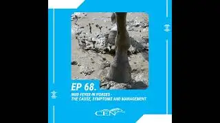Ep. 68 | MUD FEVER IN HORSES – The Cause, Symptoms And Management