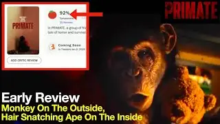 Primate Early Reviews Are IN 🔥 Cute & Cuddly… Until This Ape Starts Breaking Fingers 😱