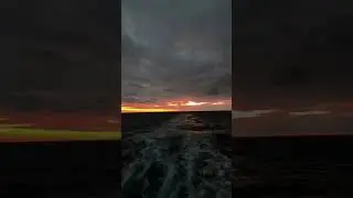 MaviZen 🌊 #sea #huzur #deniz #travel #ocean #ship #mavizen #sunset #ferditayfur