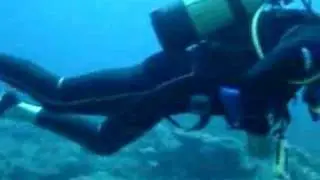 crazy Divers 1