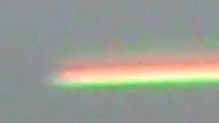 real life nyan cat D: !!