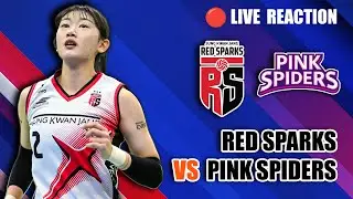 🔴 RED SPARKS VS PINK SPIDERS, LIVE REACTION