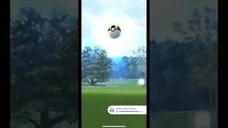 🤩Finally got this ✨SHINY✨ Swinub #pokemon #pokemongo #shinypokemon