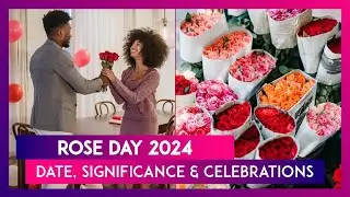 Rose Day 2024: Date, Significance And Celebrations Of The First Day Of Valentine Week