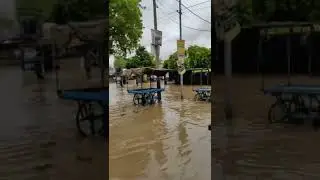 Bhattu Mandi Haryana after light rainfall