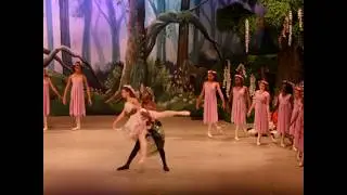 DCK Midsummer Night's Dream Teaser