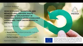 How Economic Incentives and Behavioural Drivers Shape Consumers&rsquo;