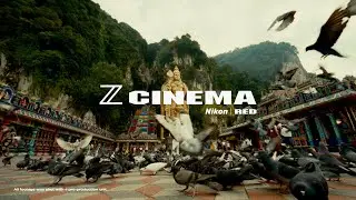 Nikon ZR | Game Changer
