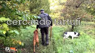 Aspettando la Tartufesta 1... i cani da tartufo