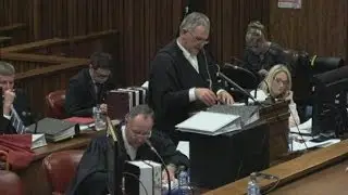 Pistorius trial: He 'fired gun through sunroof' when angry says ex