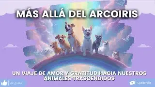 Más allá del Arcoíris. Sanar el duelo animal y reconectar con el alma de tu mascota