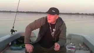 Wiślane Okonie