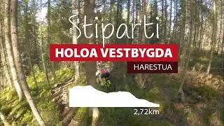 Krevende, flow og fokus! Holoastien - Vestbygda, Harestua