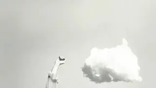 Puffin Clouds (Official Audio)