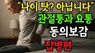 건강 역사록 잡병편 요통과 관절통 영상 1