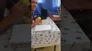 Talimatlara Uyuyorum
