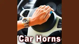 Gm Cadillac Cts Auto Lock Horn Signal, From Garage