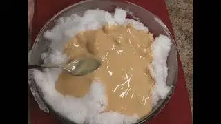 Making Snow cream!