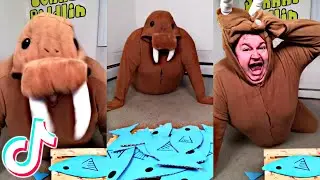 Eating like a WALRUS! (Tik Tok)