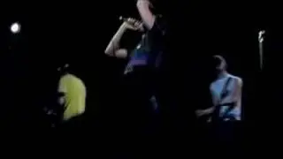 Say Anything - Yellow Cat, Red Cat