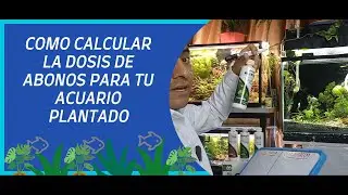 COMO CALCULAR LA DOSIS DE ABONOS PARA TU ACUARIO PLANTADO 🌿🐟🌱