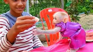 Adorable Monkey Politely Requests Fruit From His Brother 🍌🐒 | Cute Animal Moments