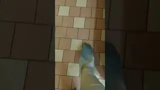 Walking the mall in wet bell bottom jeans, slow motion