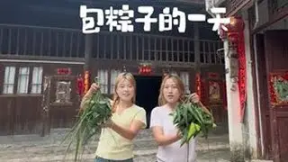 端午安康啦 今天吃粽子了没有 #三农流量扶持计划返乡创业新农人 #农村味道 #2025新农人计划