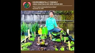 Urban Vegetable and Herb Garden Bed (12/23/2021)