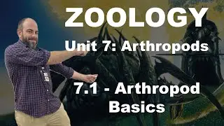 Zoology - 7.1 - Arthropod Basics