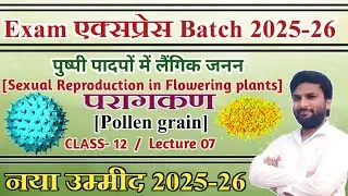 पराग कण की  संरचना | Structure of pollen grain | parag kan kya hai | Lecture 7 | pollen grain |