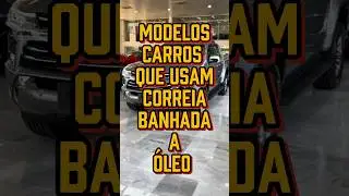 12 CARROS COM CORREIA BANHADA A &Oacute;LEO - EVITE O PREJU&Iacute;ZO 🛠️