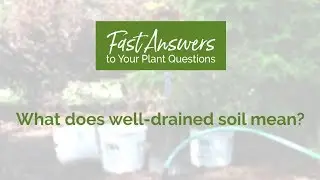 What Does Well Drained Soil Mean?