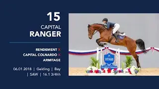 15 CAPITAL RANGER