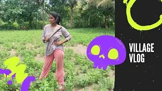 Village vlog/ Aranthangi santhai/ garamathu life