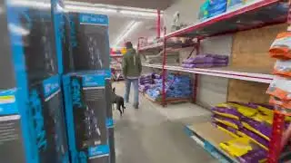Sadie Anxious Pup Destroys Her One Week Board and Train