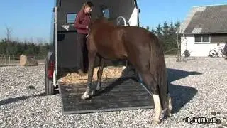 Hestetrailer
