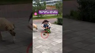 Heartwarming 🥰 Moment: Dog Steals Bread to Help Homeless Girl #kindness #dogstory