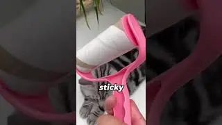 4-in-1 Pet Hair Removal Brush - Multi-Surface Cleaning Tool