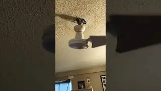 The FALLING CEILING FAN! 😱😱 #crazy #funny #ceilingfan #shorts