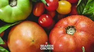 Seaside Grown: What a Year!