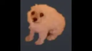 woof