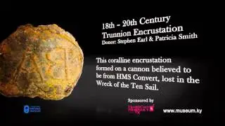 National Museum 25th Anniversary Trunnion Encrustation