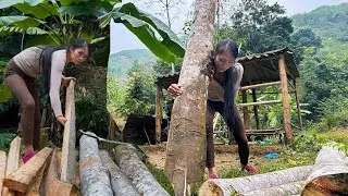 The Journey of a Girl Building a Wooden House From Scratch &ndash; Part 2