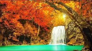 028 - Fall background video - waterfalls background  - animated background video. Nature background