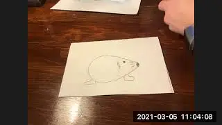 Maginnis Class Demonstrations: Colored Quill Porcupine
