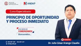 PRINCIPIO DE OPORTUNIDAD Y PROCESO INMEDIATO