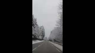Daytime winter trip - Gerardmer - Parc Naturel R&eacute;gional des Ballons Des Vosges #vosges #winter
